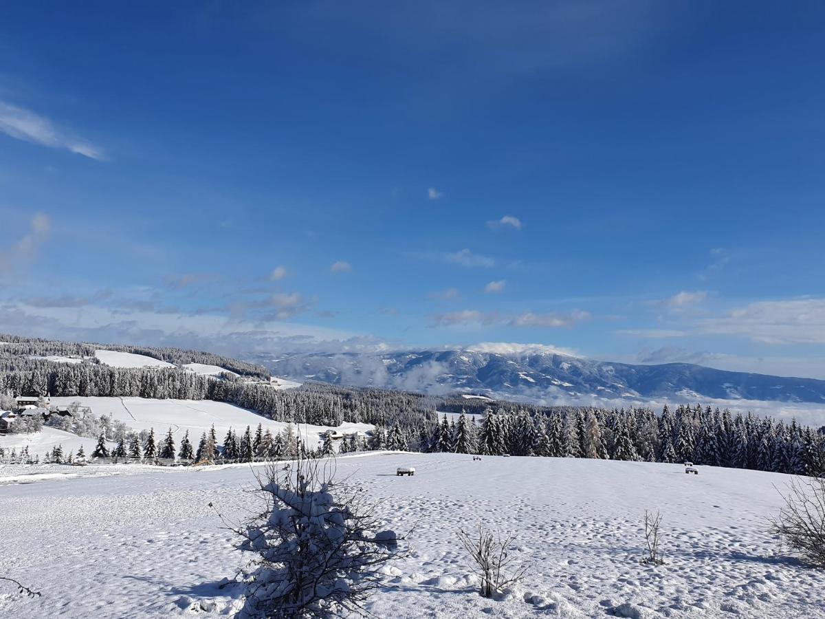Urige Waldbienenhuette Apartment Diex ภายนอก รูปภาพ